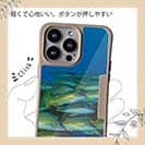 【Compos-Case】熱帯魚　No.14　ヨスジフエダイ