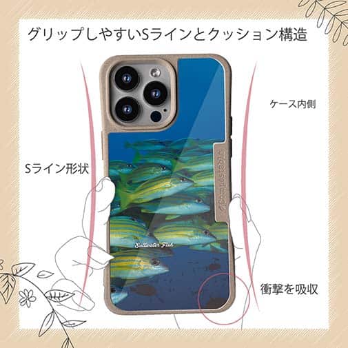 【Compos-Case】熱帯魚　No.14　ヨスジフエダイ