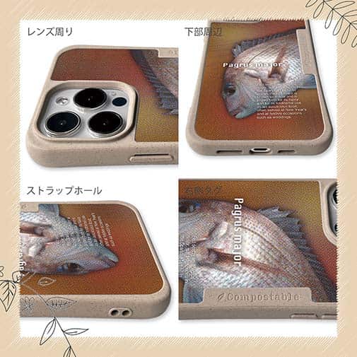 【Compos-Case】マダイのハーフトーン