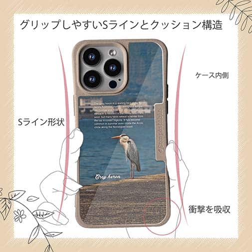 【Compos-Case】アオサギ