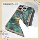 【Compos-Case】アユの追い星