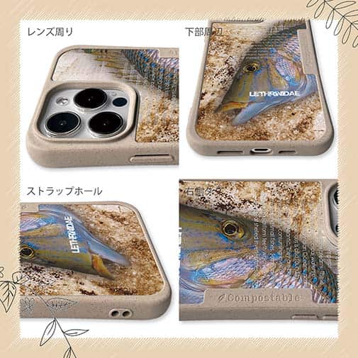 【Compos-Case】タマン(ハマフエフキ)