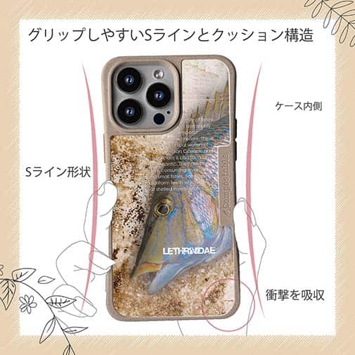 【Compos-Case】タマン(ハマフエフキ)