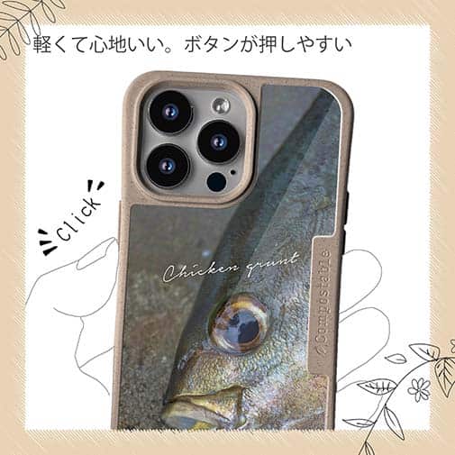 【Compos-Case】イサキ