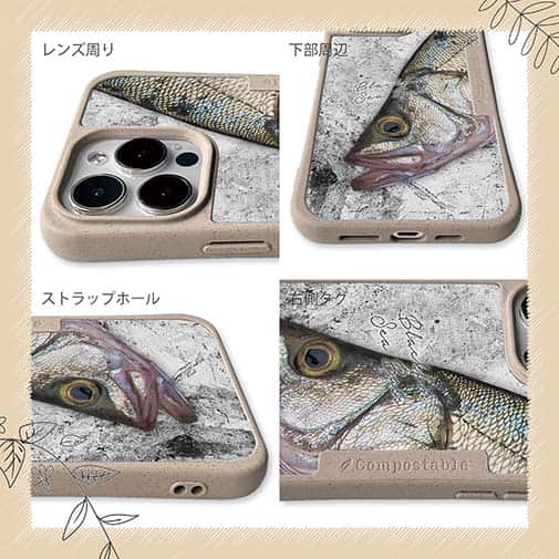 【Compos-Case】ヒラスズキの目