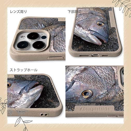 【Compos-Case】年無しチヌ