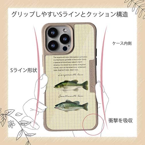 【Compos-Case】オオクチバス(ラージマウスバス)とコクチバス(スモールマウスバス)