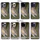 【Compos-Case】ブラウントラウトの目