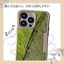 【Compos-Case】パイク　鉄錆