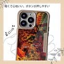 【Compos-Case】アオリイカ　鉄錆