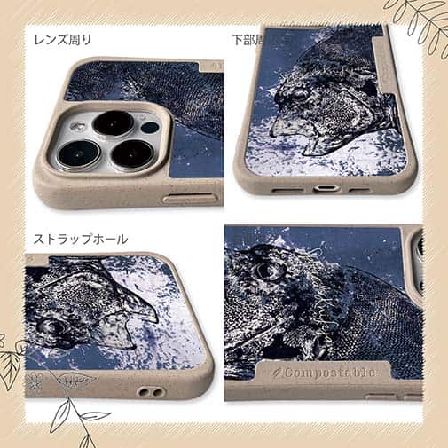 【Compos-Case】イシガキダイ(クチジロ)　鉄錆