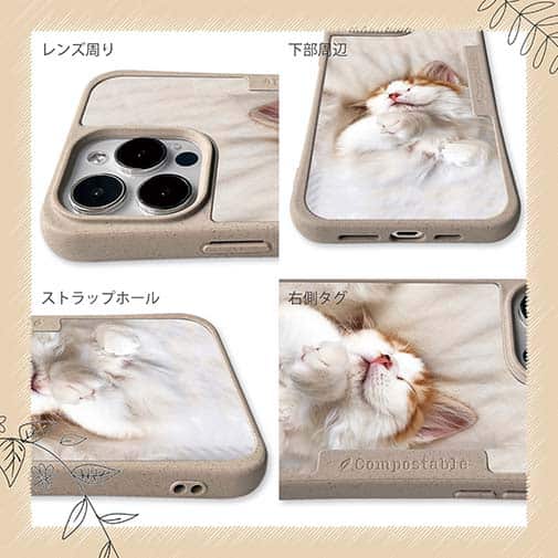 【Compos-Case】昼寝する猫(ネコ)
