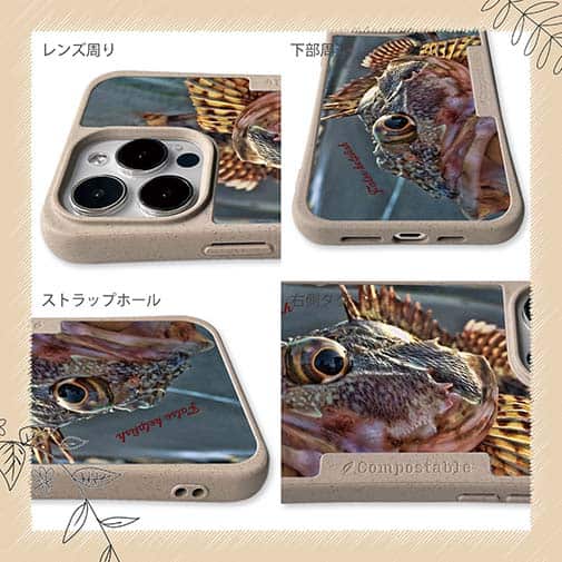 【Compos-Case】カサゴのハンドランディング