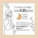 【Compos-Case】コンポスケースXperia 10 V SO-52D/SOG11専用