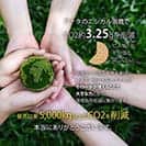 【和紙+コンポス】Google Pixel8 プレーン