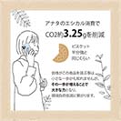 【Compos-Case】【FISH MAN】山シリーズ「カモシカ／山の神」