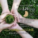 【和紙+コンポス】日本の花デザイン