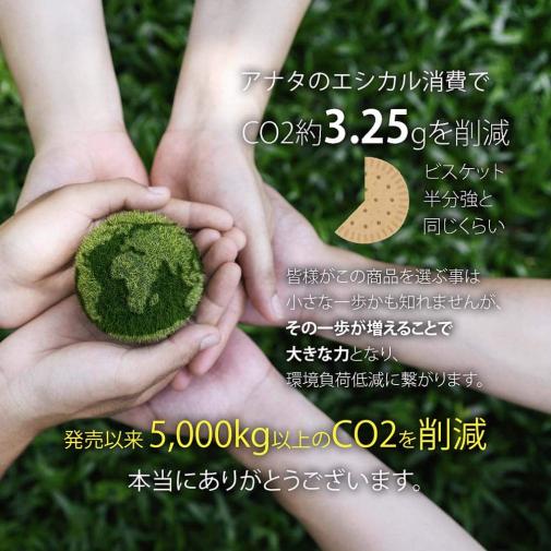 【和紙+コンポス】日本の花デザイン