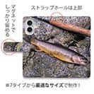 【手帳型】フライフィッシングとイワナ