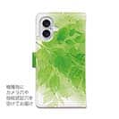 ウォーターカラー・グリーン