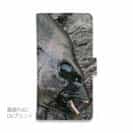 【手帳型】イシダイの強靭な歯