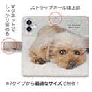 起きた瞬間のトイプードル