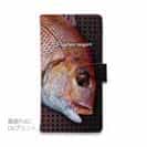 【手帳型】マダイ