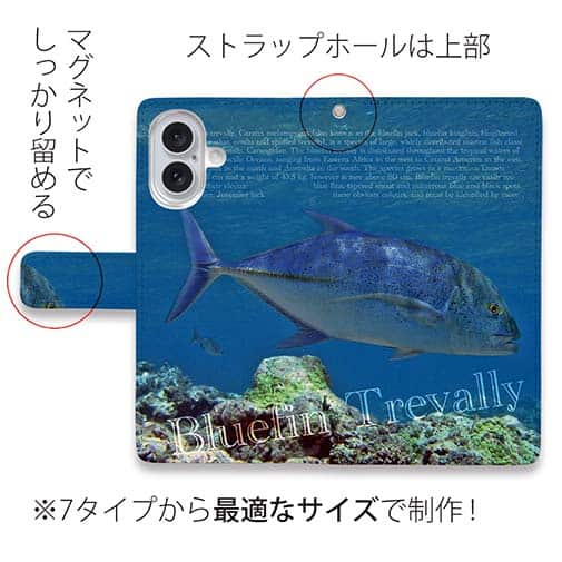 【手帳型】カスミアジの遊泳