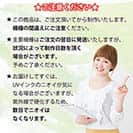 【手帳型】【FISH MAN】ハードロックフィッシュゲーム グレー