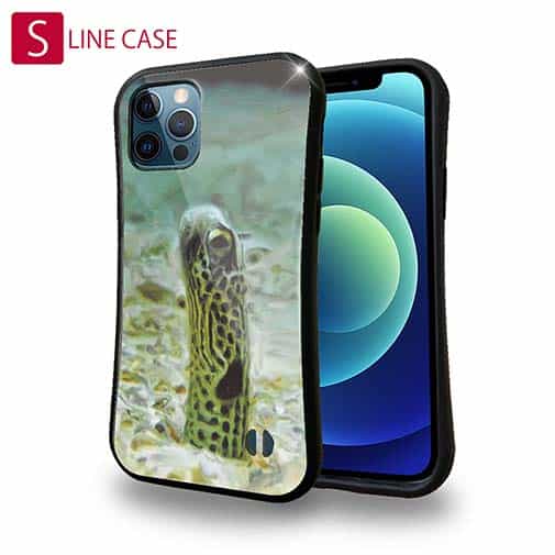 【S-LINE】チンアナゴ