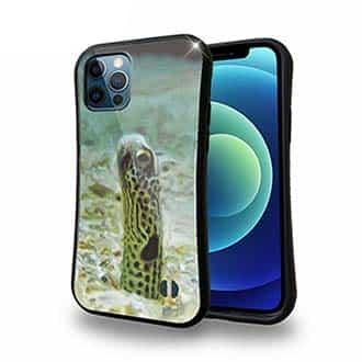 【S-LINE】チンアナゴ