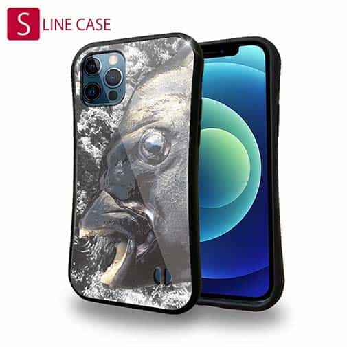 【S-LINE】イシダイの強靭な歯