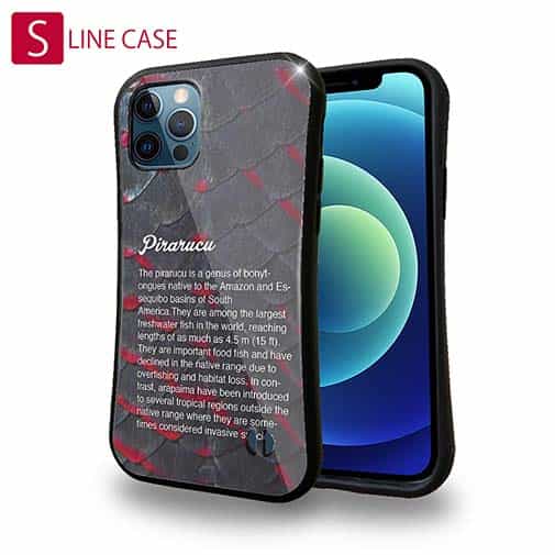 【S-LINE】ピラルクの鱗