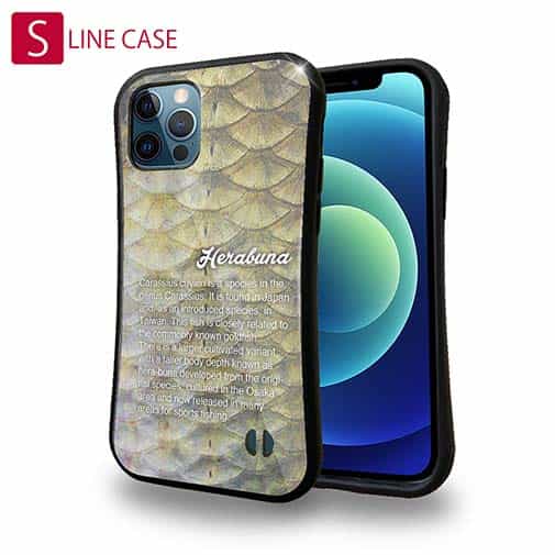 【S-LINE】ヘラブナの鱗