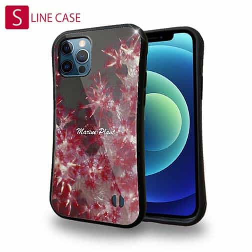 【S-LINE】サンゴ　#8