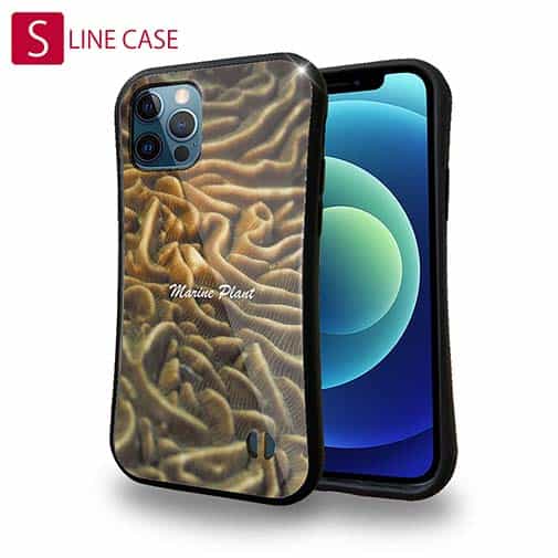 【S-LINE】サンゴ　#15