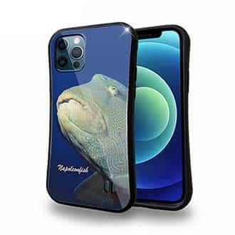 【S-LINE】水中　ナポレオンフィッシュ