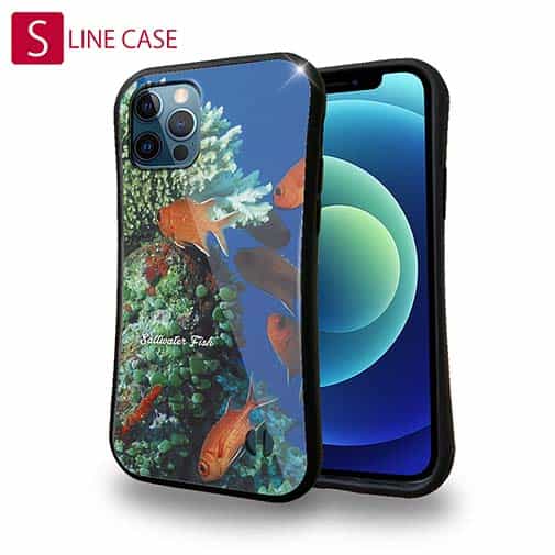 【S-LINE】熱帯魚　No.1　マツカサ類