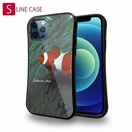 【S-LINE】熱帯魚　No.2　カクレクマノミ