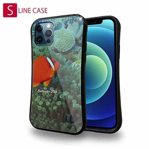 【S-LINE】熱帯魚　No.3　ハマクマノミ