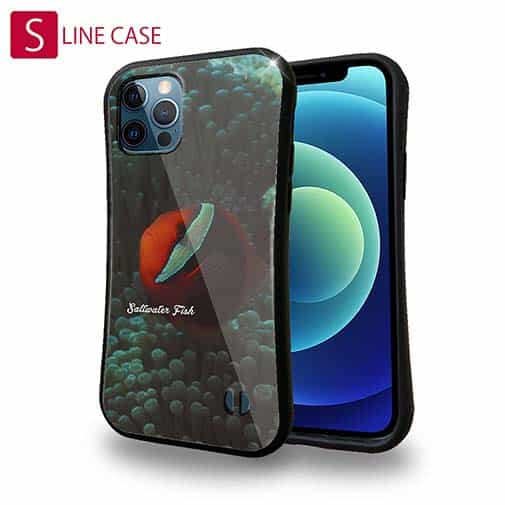 【S-LINE】熱帯魚　No.5　ハマクマノミ