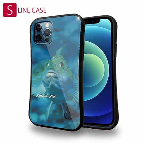 【S-LINE】熱帯魚　No.9　クジメ