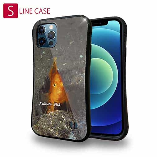 【S-LINE】熱帯魚　No.10　ウイゴンベ