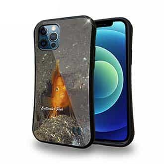 【S-LINE】熱帯魚　No.10　ウイゴンベ