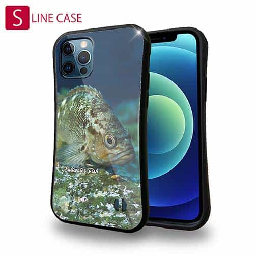 【S-LINE】熱帯魚　No.11　メバル