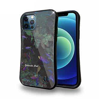 【S-LINE】熱帯魚　No.15　ベラの飛翔