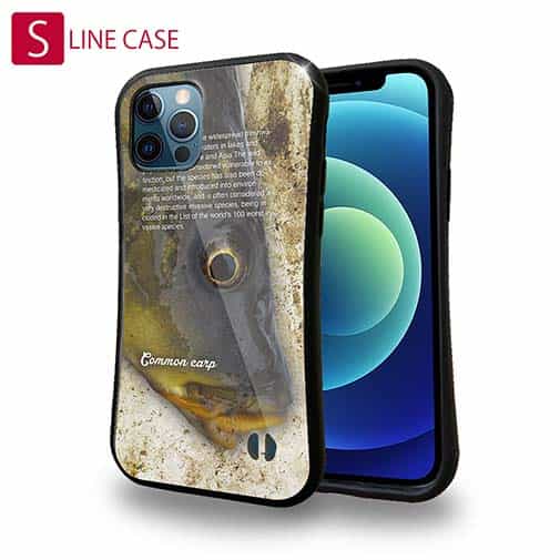 【S-LINE】コイ(カープ)