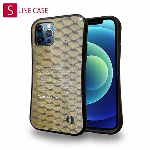 【S-LINE】コイのウロコ