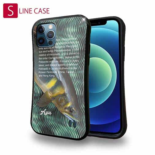 【S-LINE】アユの追い星