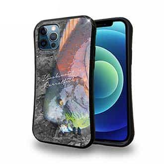 【S-LINE】アオブダイ